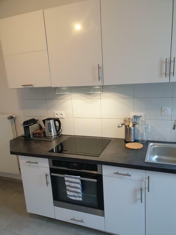 Strasbourg Centre Le 85, Superbe F5, 125M2, 5 Pieces Lejlighed Eksteriør billede