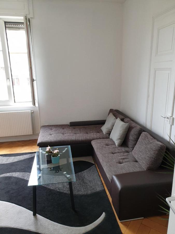 Strasbourg Centre Le 85, Superbe F5, 125M2, 5 Pieces Lejlighed Eksteriør billede